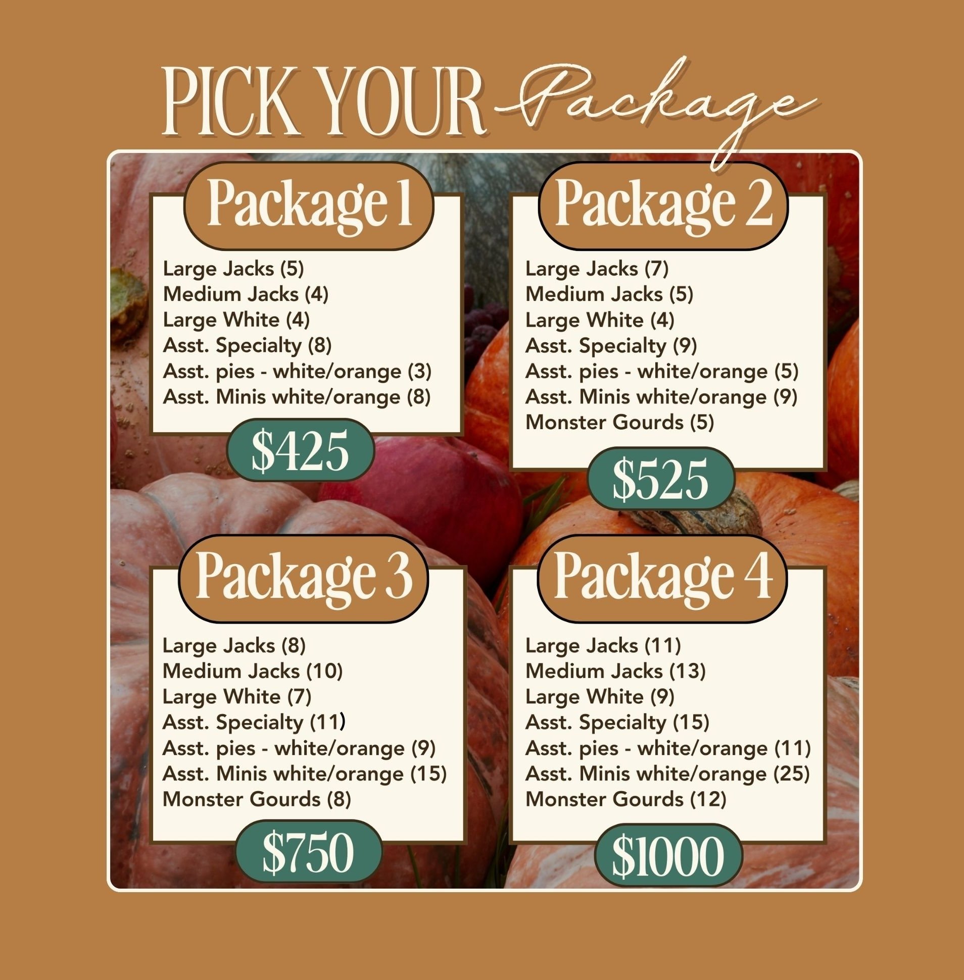 Light Grey Medium Blue Purple Modern Build Your Website Presentation