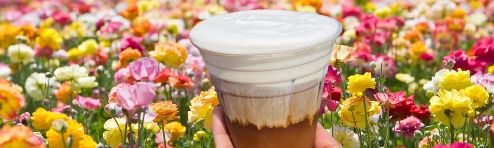 nhg-cafe-rose-dallas-nursery