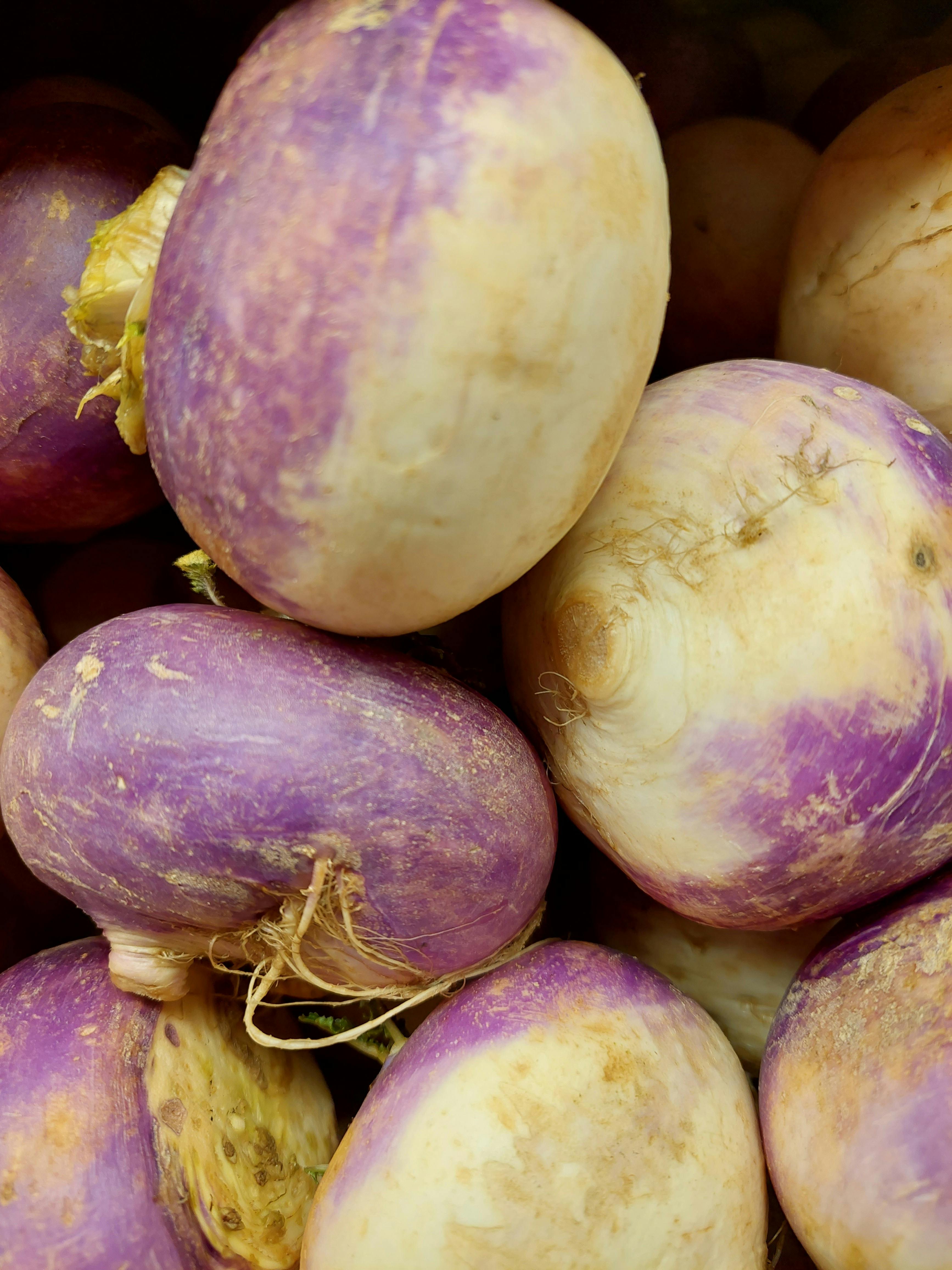 What to Plant in the Winter in Texas