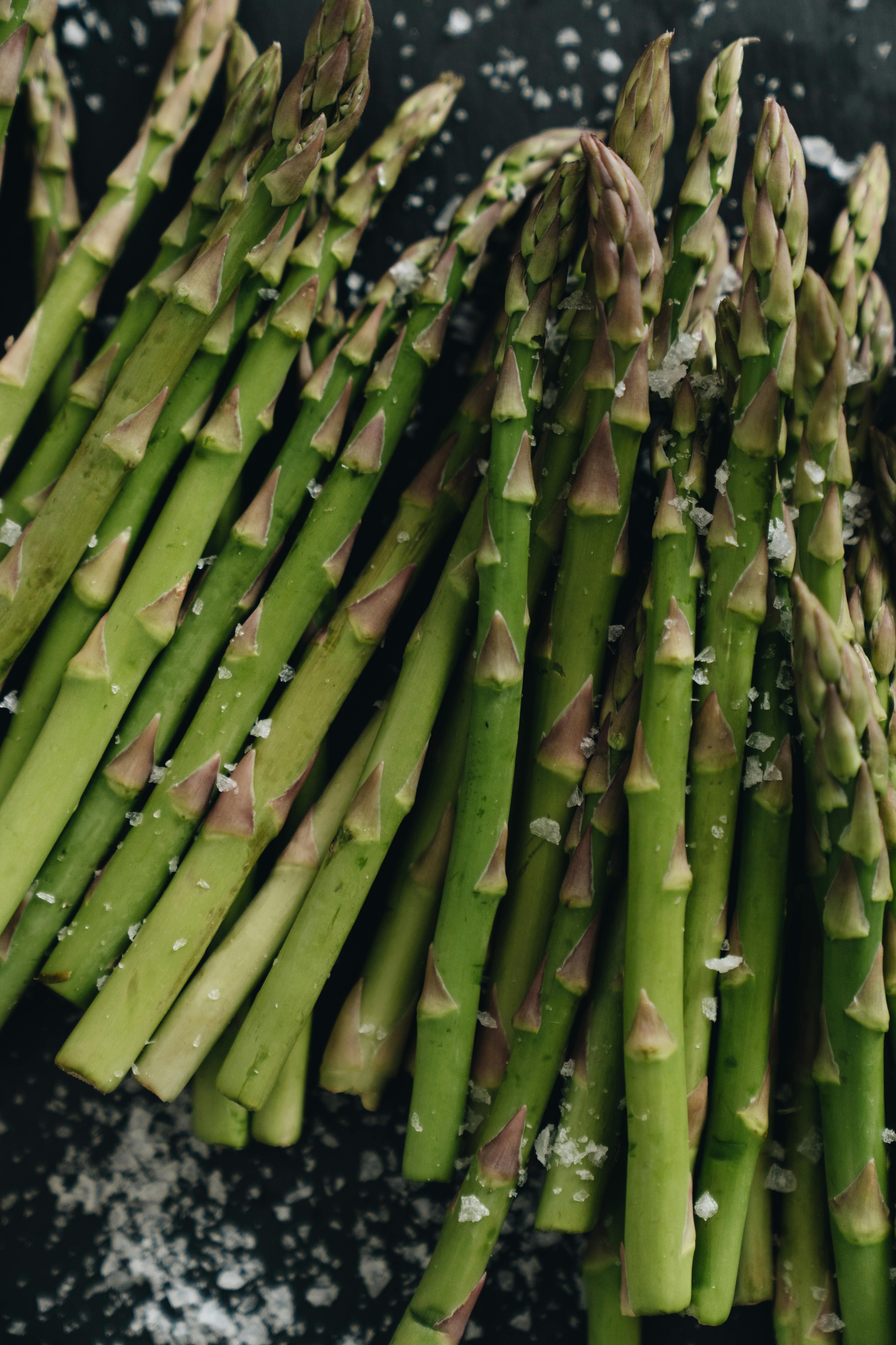 Asparagus: A Classy Addition to Your Edibles Garden