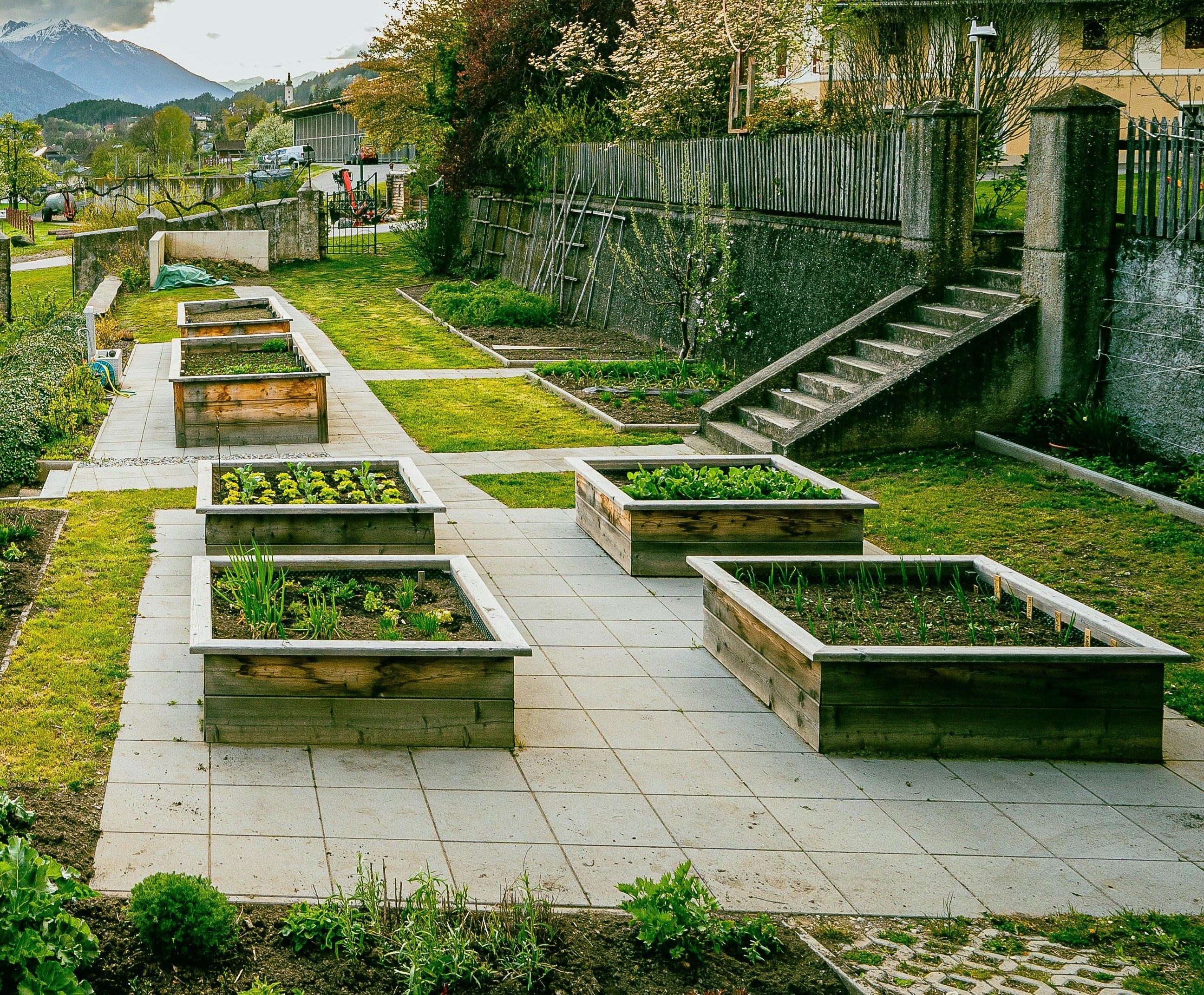 Growing Your Own: Vegetables in Raised Garden Beds