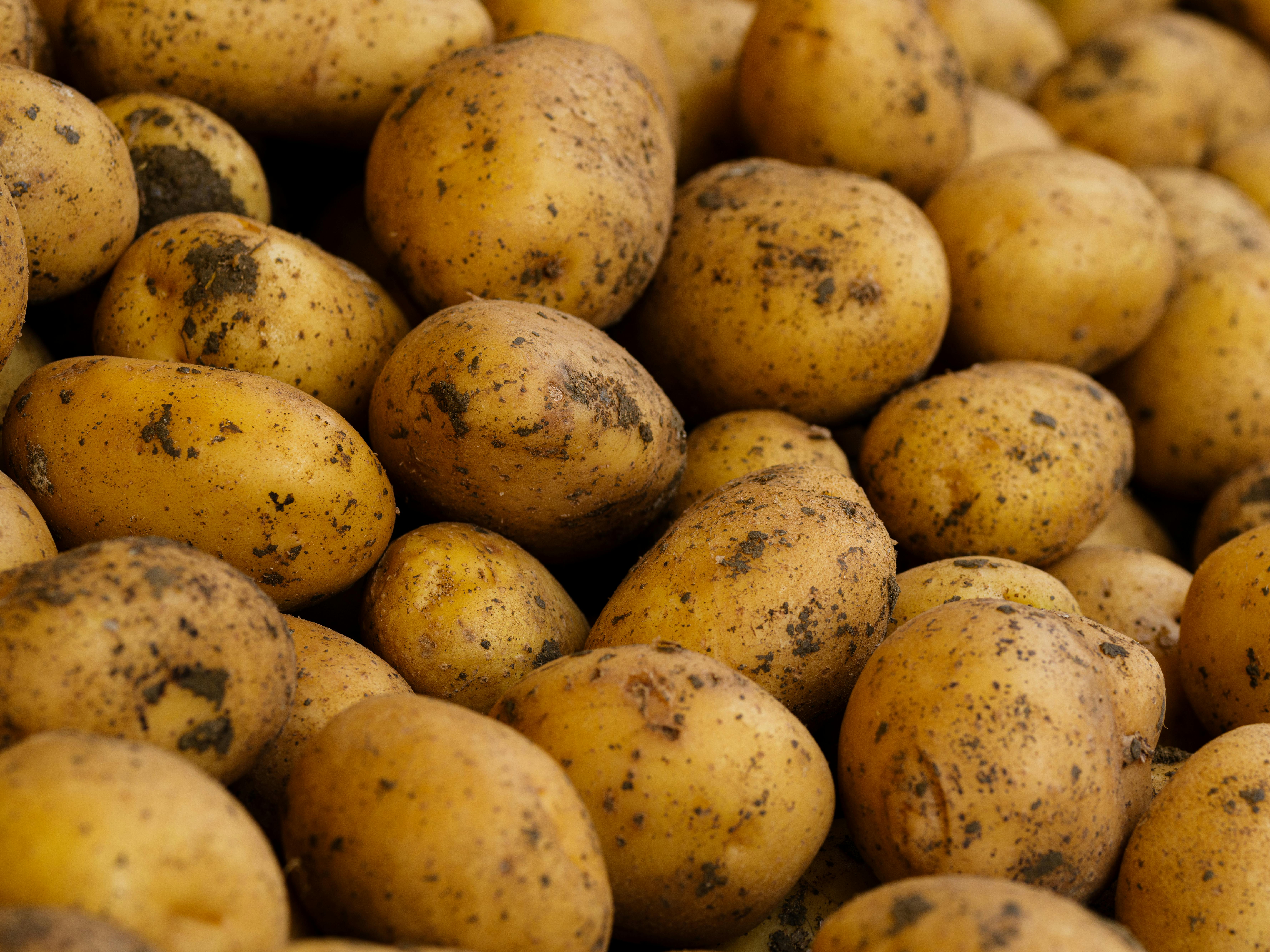 The Earthy Goodness of Home-grown Potatoes