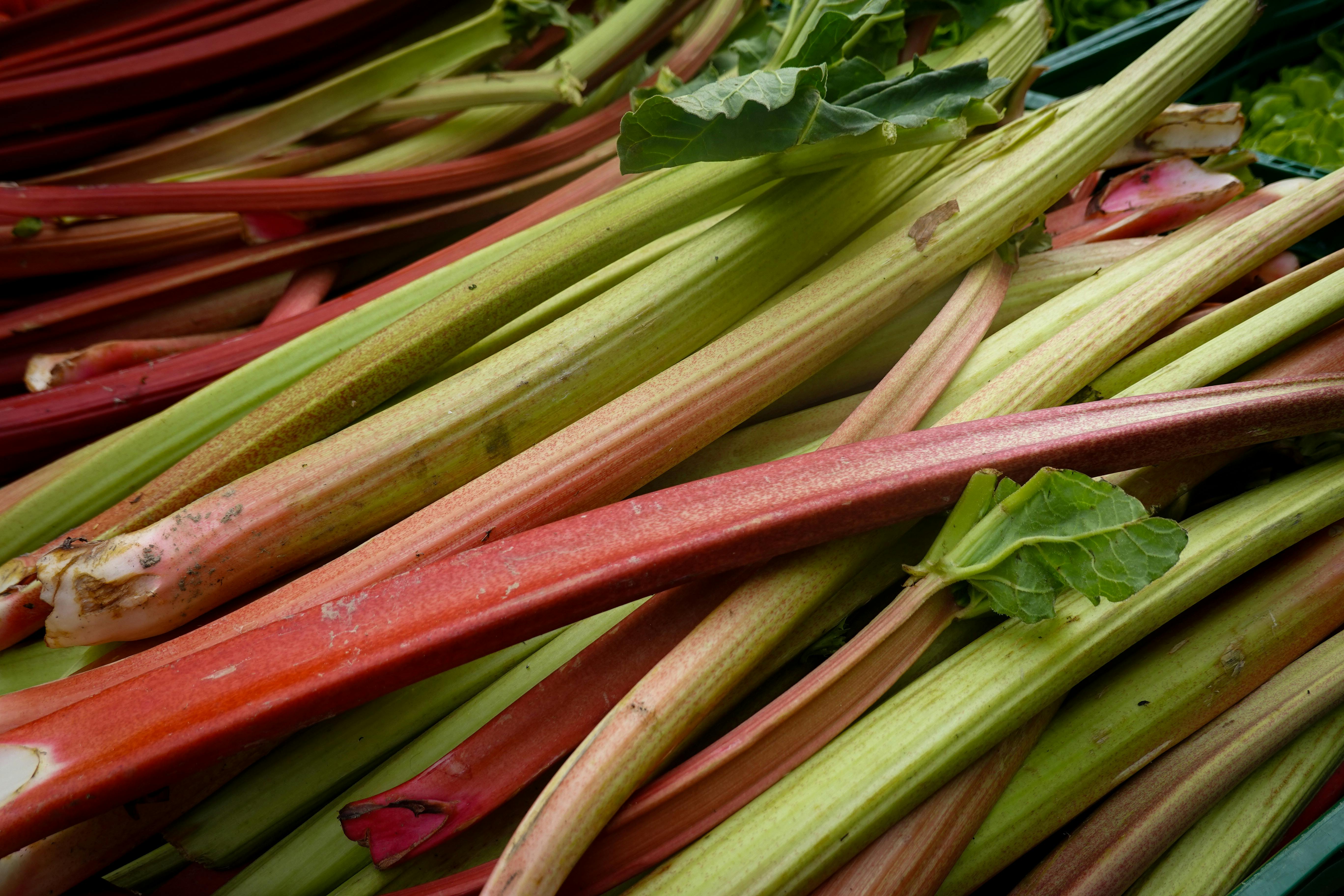 Asparagus, Rhubarb & Horseradish Project List