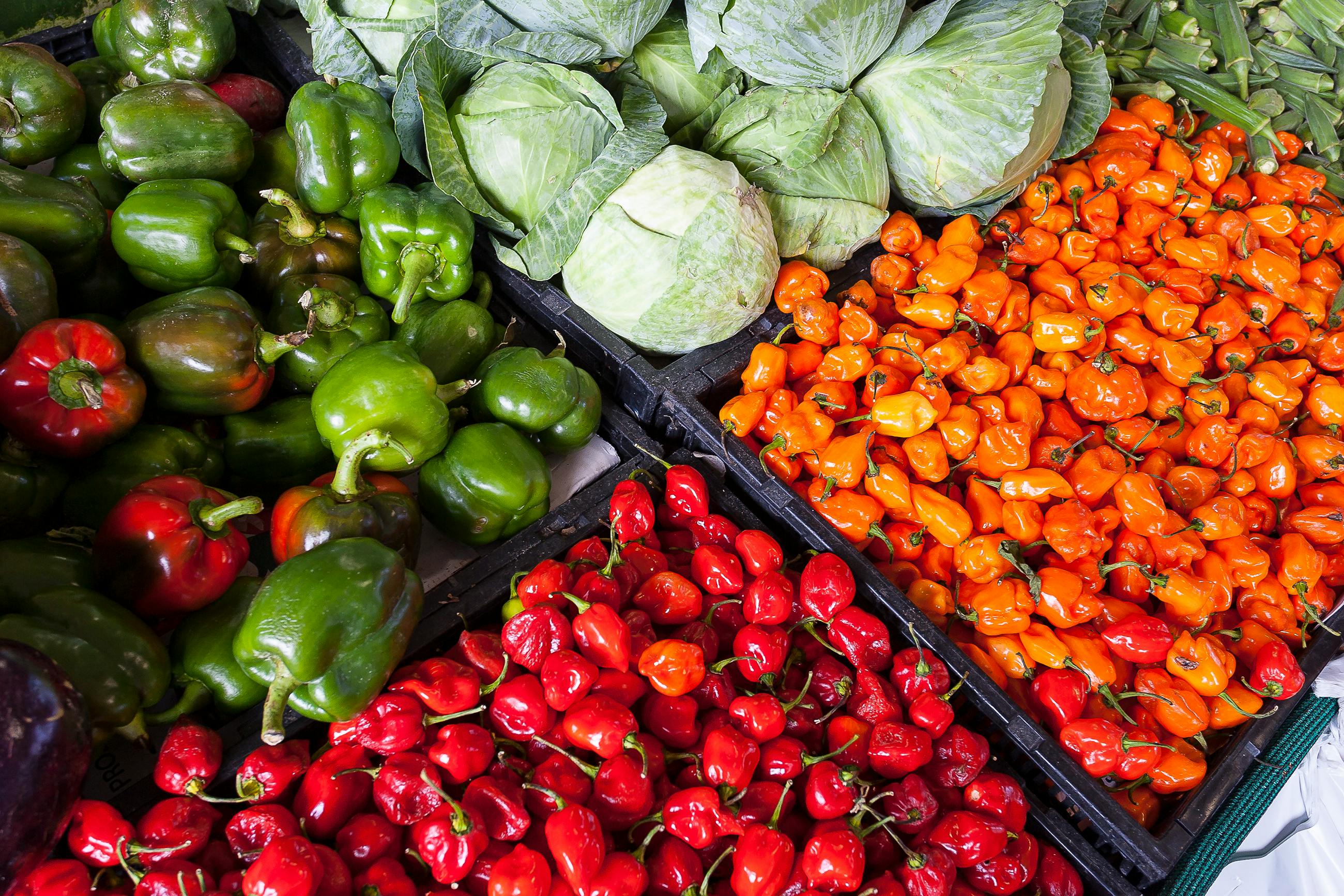 Vegetable Project List